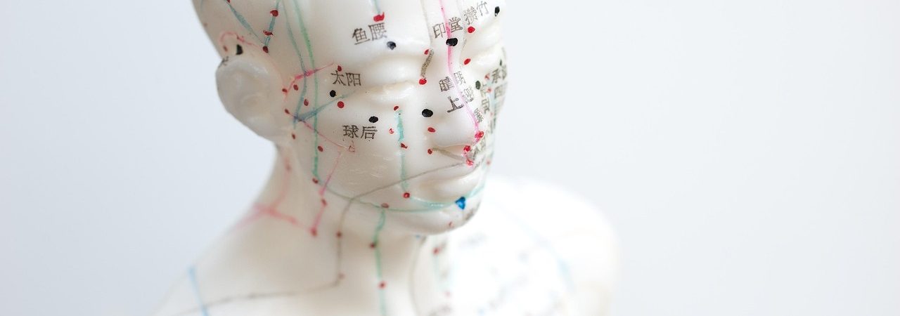 aiguille, acupuncture, agujas acupuntura, model, mannequin, map, human body, anatomy, acupuncture, acupuncture, acupuncture, acupuncture, acupuncture