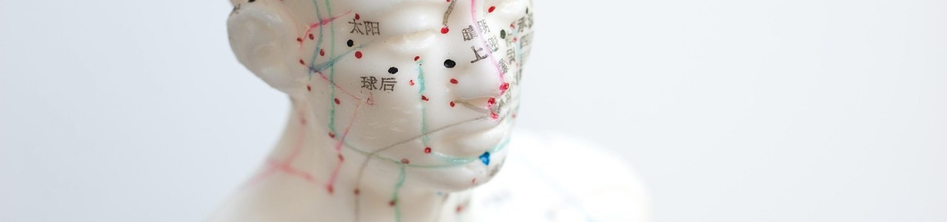 aiguille, acupuncture, agujas acupuntura, model, mannequin, map, human body, anatomy, acupuncture, acupuncture, acupuncture, acupuncture, acupuncture